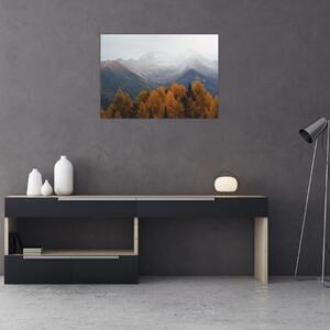 Obraz - Výhled na hřebeny hor (70x50 cm)