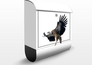 Poštovní schránka s potiskem Majestic Vulture