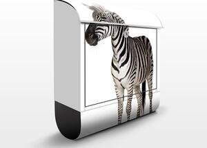 Poštovní schránka s potiskem Zebra