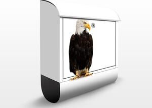 Poštovní schránka s potiskem Eye of the Eagle