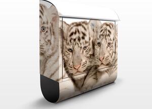 Poštovní schránka s potiskem Tygří mláďata