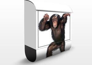 Poštovní schránka s potiskem Opičí párty