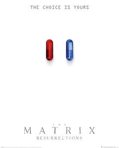 Plakát, Obraz - The Matrix: Resurrections - The Choice is Yours