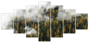 Obraz lesa v mracích (210x100 cm)