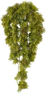 Umělá Popínavka mechová, 36cm