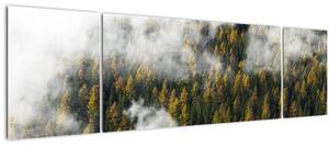 Obraz lesa v mracích (170x50 cm)