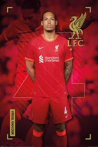 Plakát, Obraz - Liverpool FC - Virgil Van Dijk, (61 x 91.5 cm)