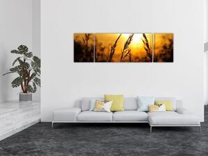Obraz zapadajícího slunce (170x50 cm)