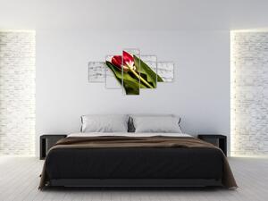 Obraz červeného tulipánu (125x70 cm)