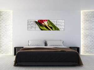 Obraz červeného tulipánu (170x50 cm)
