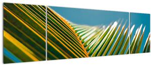 Obraz - Detail palmového listu (170x50 cm)