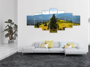 Obraz - Horská louka (210x100 cm)