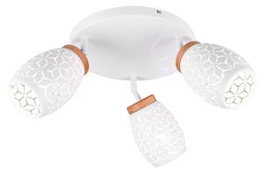 Trio TR61573331 bodové stropní svítidlo BIDAR E14