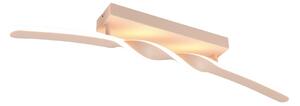 Trio TR65791166 LED přisazené stropní svítidlo GINKO | 18W integrovaný LED zdroj