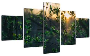 Obraz prosvítajícího slunce skrz větvičky stromů (125x70 cm)