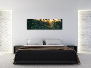 Obraz prosvítajícího slunce skrz větvičky stromů (170x50 cm)