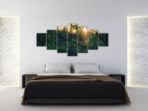 Obraz prosvítajícího slunce skrz větvičky stromů (210x100 cm)