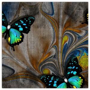 Obraz - Zářiví motýli na obraze (30x30 cm)