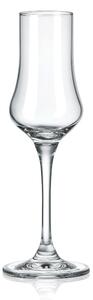RONA UNIVERSAL SKLENICE NA GRAPPU 100ML SADA 6KS