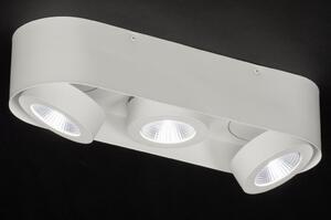 Stropní bodové bílé LED svítidlo Troncetto III (Nordtech)
