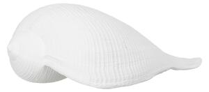 Soška z polyresinu (výška 5 cm) Seashell – Ixia