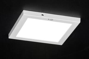 Stropní bílé LED svítidlo s čidlem pohybu Avanti White (Nordtech)