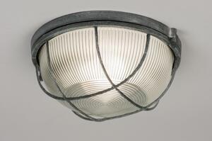 Stropní nebo nástěnné industriální svítidlo Classic Fine II (LMD)