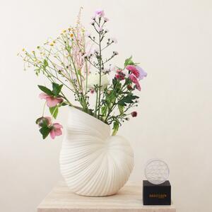 Exkluzivní set: váza Shell Pot + aranžovací kroužek Hanataba
