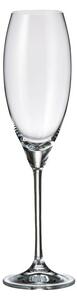 BOHEMIA CARDUELIS SKLENICE NA ŠAMPAŇSKÉ 290ML SADA 6 KS