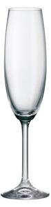 BOHEMIA COLIBRI SKLENICE NA ŠAMPAŇSKÉ 220ML SADA 6KS