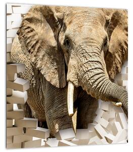 Obraz - Slon prorážející zeď (30x30 cm)