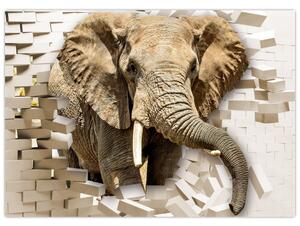 Obraz - Slon prorážející zeď (70x50 cm)