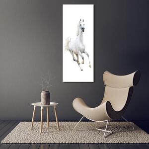 Foto obraz na plátně Bílý kůň cval pl-oc-50x125-f-99028092