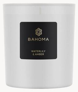 Vonná svíčka Waterlily & Amber (bergamot, vodní zelené tóny, čerstvá hruška)