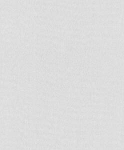 RASCH | Vliesová tapeta na zeď Timeless Selection 415636 | 0,53 x 10,05 m | šedá