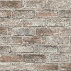 RASCH | Vliesová tapeta na zeď Timeless Selection 869002 | 0,53 x 10,05 m | šedá