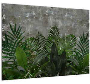 Obraz - Betonová zeď s rostlinami (70x50 cm)