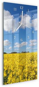 Skleněné hodiny vertikální Pole zsppb-30x60-00082311