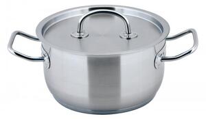 CS SOLINGEN Hrnec s poklicí nerezová ocel 3 l / pr. 20 x 11 cm PRO-X CS-043179