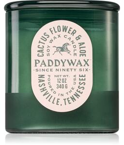 Paddywax Vista Cactus Flower & Aloe vonná svíčka 340 g