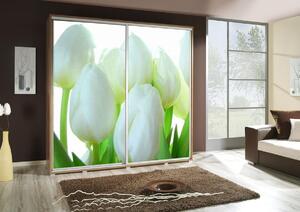 Šatní skříň Penelopa 2 Tulipány Barva korpusu: Bílá, Rozměry: 205 cm