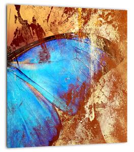 Obraz - Modrý motýl (30x30 cm)
