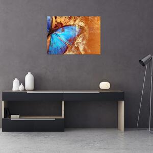 Obraz - Modrý motýl (70x50 cm)