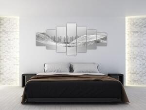 Obraz - Stříbrná krajina (210x100 cm)