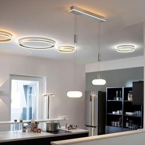 Paul Neuhaus Závěsné LED svítidlo Q-ETIENNE 25,5W, d. 65 cm, CCT 2700-5000K Barva: ocel