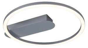 Livarno home Stropní LED svítidlo (kulatá) (100382982002)