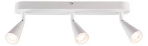Livarno home Stropní LED svítidlo Freya (oválný/bílý) (100383058004)