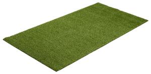 LIVARNO home Koberec s umělou trávou, 100 x 200 cm (100373254)