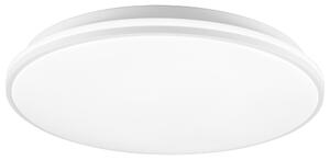 Livarno® Stropní LED svítidlo (100397692)