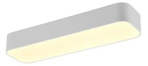Trio Leuchten R62 ASTERION - Stropní LED svítidlo s dálkovým ovladačem, LED 21W, 2700 - 6500K, 50 x 14cm (Stropní svítidlo stmívatelné dálkovým ovladačem v bílé barvě)